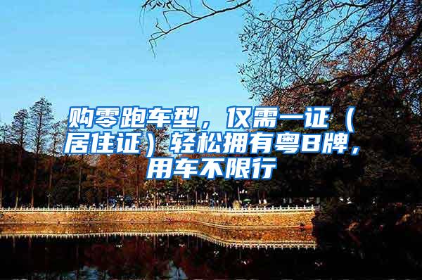购零跑车型，仅需一证（居住证）轻松拥有粤B牌，用车不限行