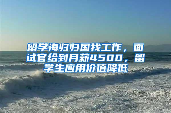 留学海归归国找工作，面试官给到月薪4500，留学生应用价值降低