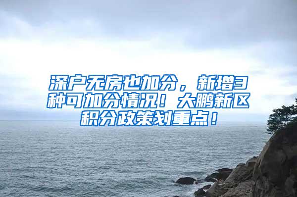 深户无房也加分，新增3种可加分情况！大鹏新区积分政策划重点！