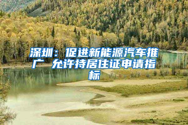 深圳：促进新能源汽车推广 允许持居住证申请指标