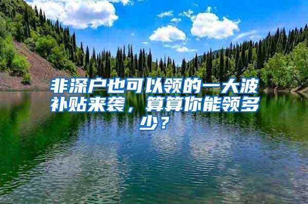 非深户也可以领的一大波补贴来袭，算算你能领多少？