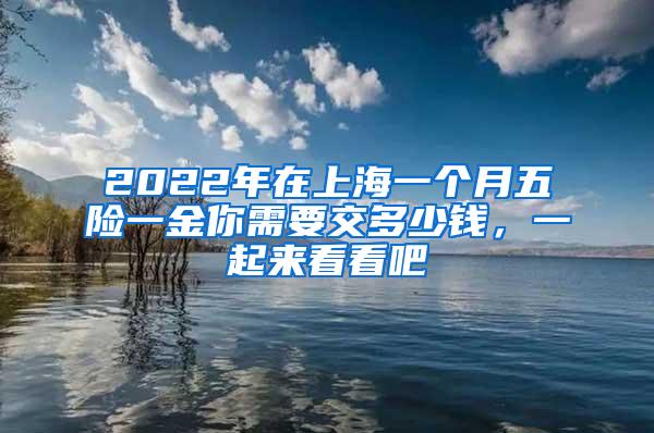 2022年在上海一个月五险一金你需要交多少钱，一起来看看吧