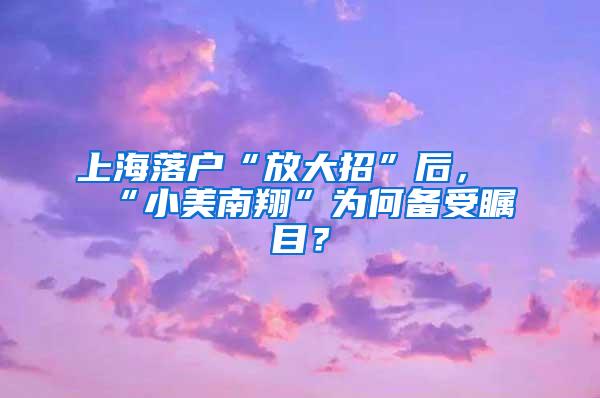 上海落户“放大招”后，“小美南翔”为何备受瞩目？