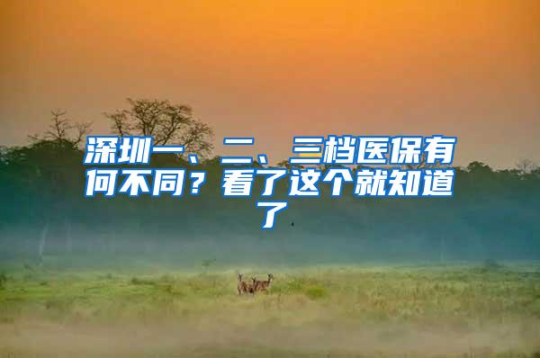 深圳一、二、三档医保有何不同？看了这个就知道了