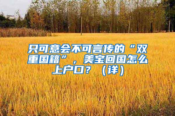 只可意会不可言传的“双重国籍”，美宝回国怎么上户口？（详）