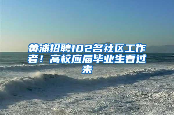 黄浦招聘102名社区工作者！高校应届毕业生看过来
