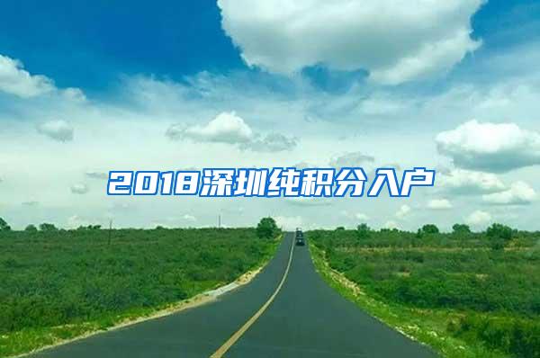 2018深圳纯积分入户