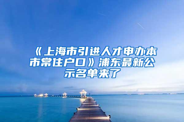 《上海市引进人才申办本市常住户口》浦东最新公示名单来了