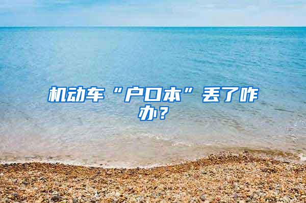 机动车“户口本”丢了咋办？
