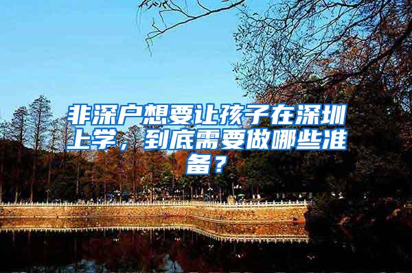 非深户想要让孩子在深圳上学，到底需要做哪些准备？