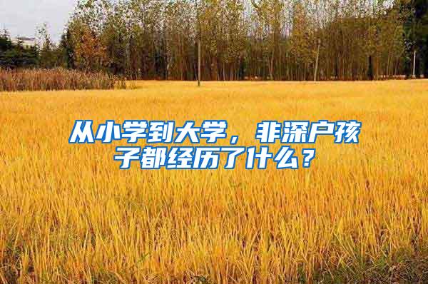 从小学到大学，非深户孩子都经历了什么？