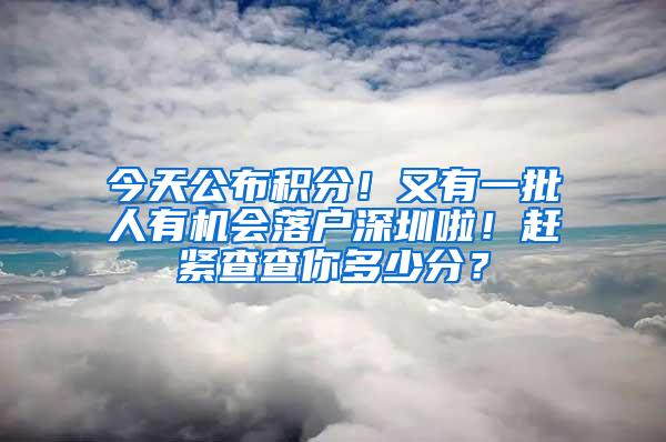 今天公布积分！又有一批人有机会落户深圳啦！赶紧查查你多少分？