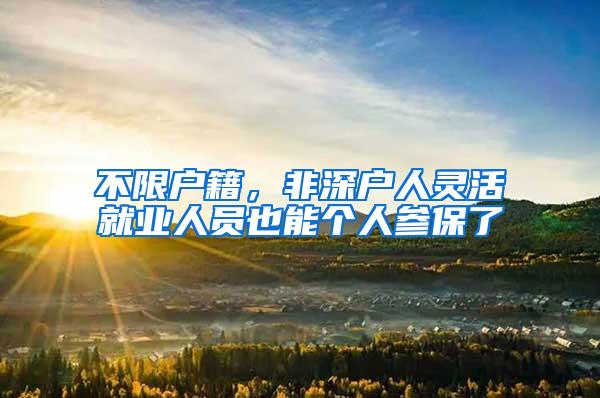 不限户籍，非深户人灵活就业人员也能个人参保了
