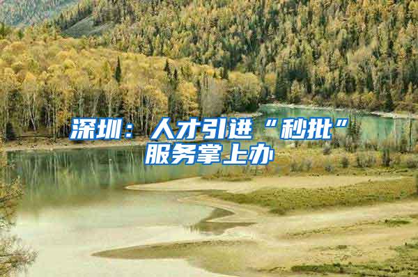 深圳：人才引进“秒批”服务掌上办