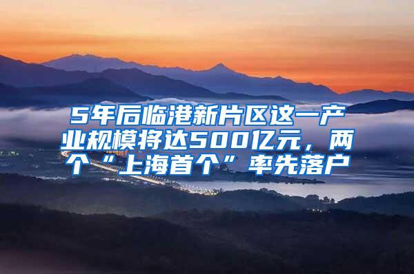 5年后临港新片区这一产业规模将达500亿元，两个“上海首个”率先落户