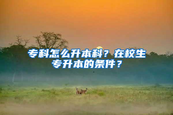专科怎么升本科？在校生专升本的条件？