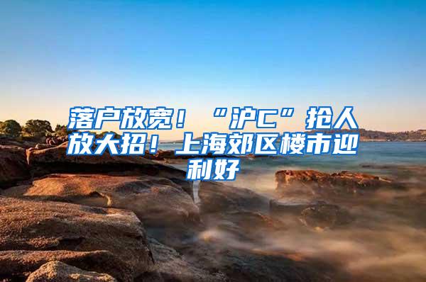 落户放宽！“沪C”抢人放大招！上海郊区楼市迎利好