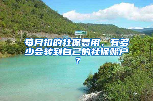 每月扣的社保费用，有多少会转到自己的社保账户？