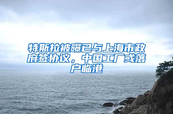 特斯拉被曝已与上海市政府签协议，中国工厂或落户临港
