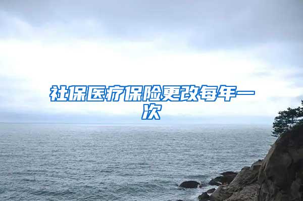 社保医疗保险更改每年一次