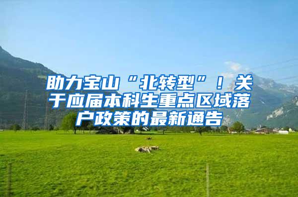 助力宝山“北转型”！关于应届本科生重点区域落户政策的最新通告