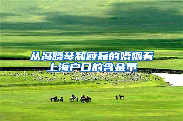 从冯晓琴和顾磊的婚姻看上海户口的含金量