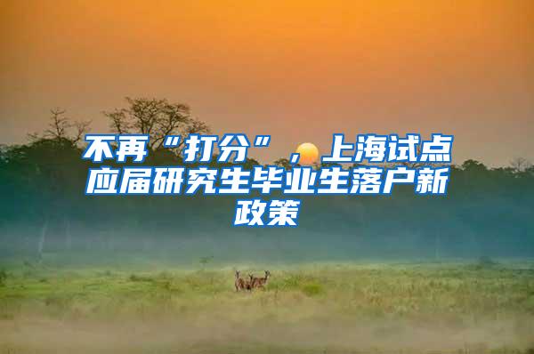 不再“打分”，上海试点应届研究生毕业生落户新政策