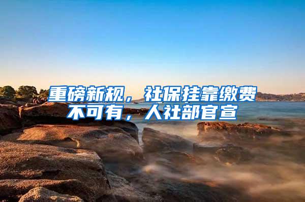 重磅新规，社保挂靠缴费不可有，人社部官宣