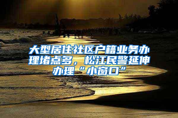 大型居住社区户籍业务办理堵点多，松江民警延伸办理“小窗口”