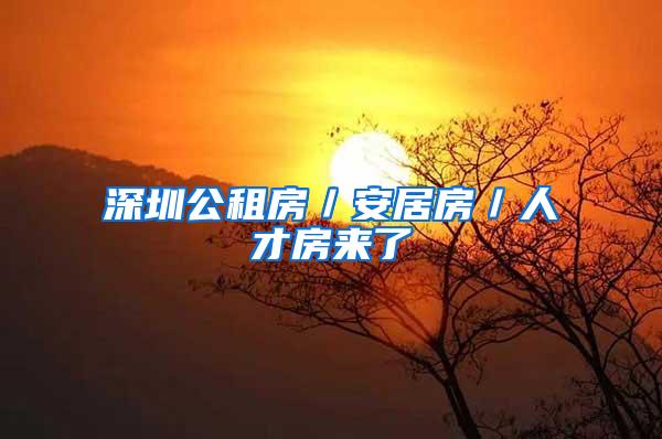 深圳公租房／安居房／人才房来了