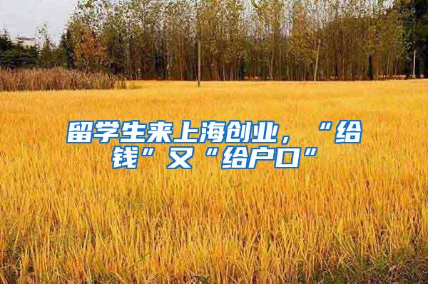 留学生来上海创业，“给钱”又“给户口”