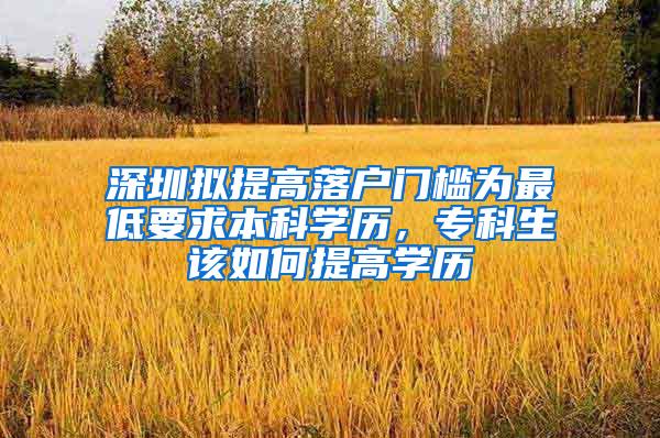 深圳拟提高落户门槛为最低要求本科学历，专科生该如何提高学历