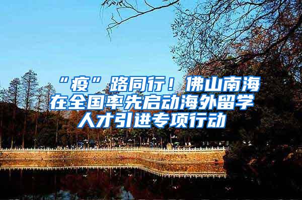 “疫”路同行！佛山南海在全国率先启动海外留学人才引进专项行动