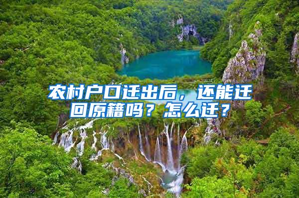 农村户口迁出后，还能迁回原籍吗？怎么迁？
