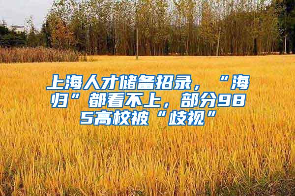 上海人才储备招录，“海归”都看不上，部分985高校被“歧视”