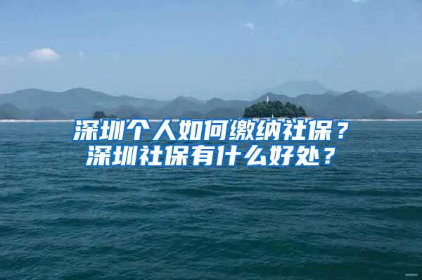 深圳个人如何缴纳社保？深圳社保有什么好处？
