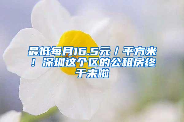 最低每月16.5元／平方米！深圳这个区的公租房终于来啦