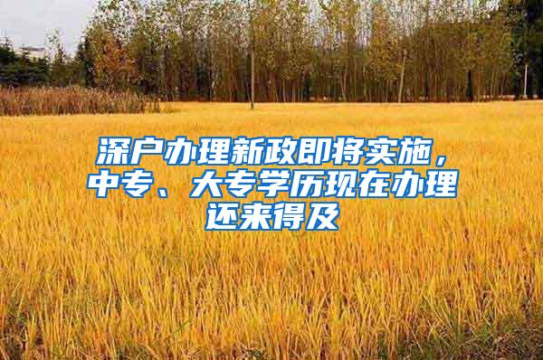深户办理新政即将实施，中专、大专学历现在办理还来得及
