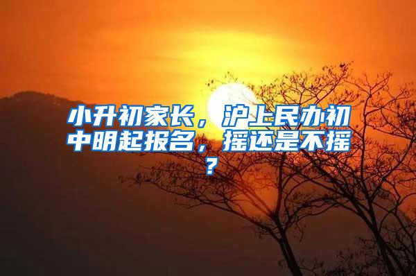 小升初家长，沪上民办初中明起报名，摇还是不摇？