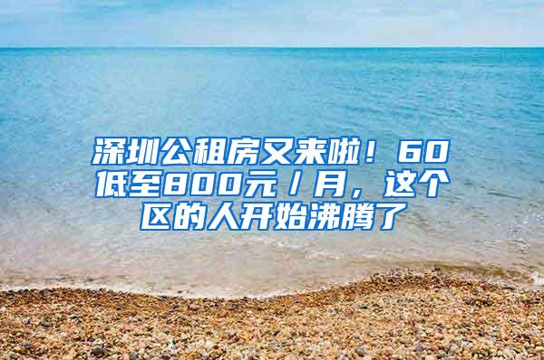深圳公租房又来啦！60㎡低至800元／月，这个区的人开始沸腾了