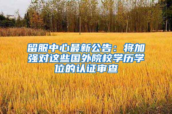 留服中心最新公告：将加强对这些国外院校学历学位的认证审查