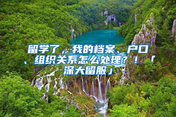 留学了，我的档案、户口、组织关系怎么处理？！「深大留服」