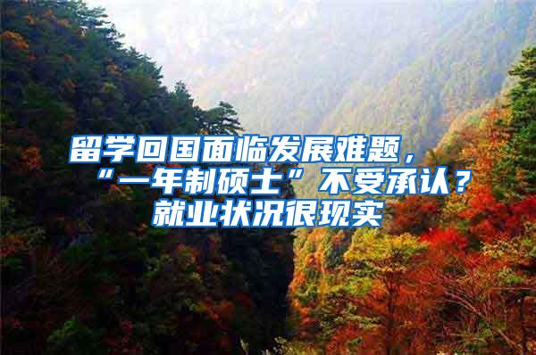 留学回国面临发展难题，“一年制硕士”不受承认？就业状况很现实