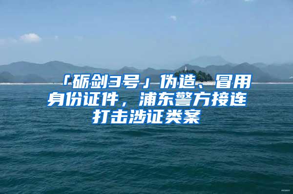 「砺剑3号」伪造、冒用身份证件，浦东警方接连打击涉证类案
