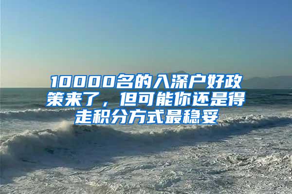 10000名的入深户好政策来了，但可能你还是得走积分方式最稳妥