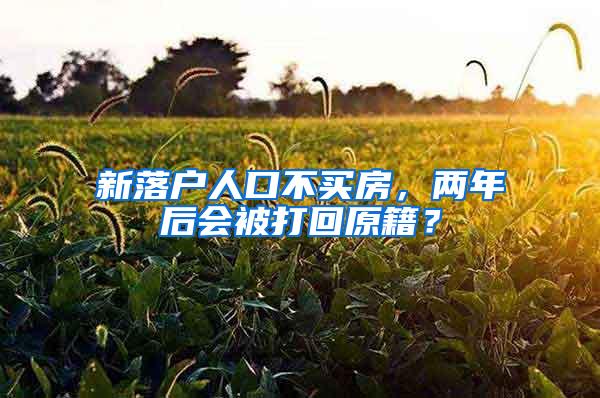 新落户人口不买房，两年后会被打回原籍？