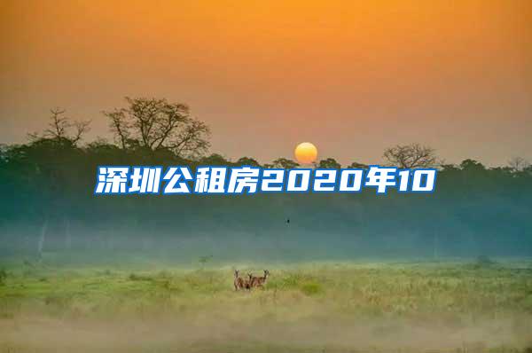 深圳公租房2020年10