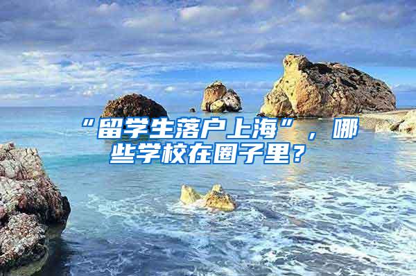 “留学生落户上海”，哪些学校在圈子里？