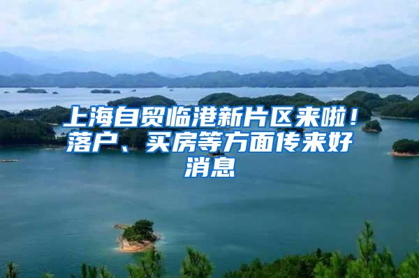 上海自贸临港新片区来啦！落户、买房等方面传来好消息