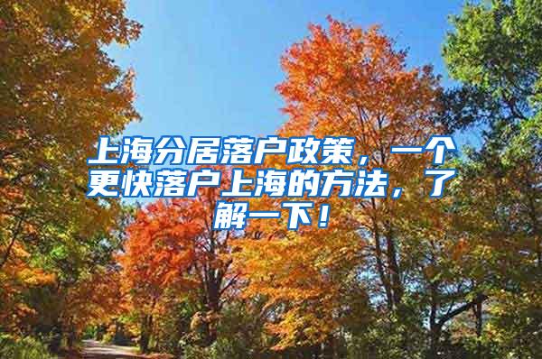 上海分居落户政策，一个更快落户上海的方法，了解一下！